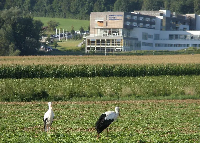 Golf & Wellness 34. *