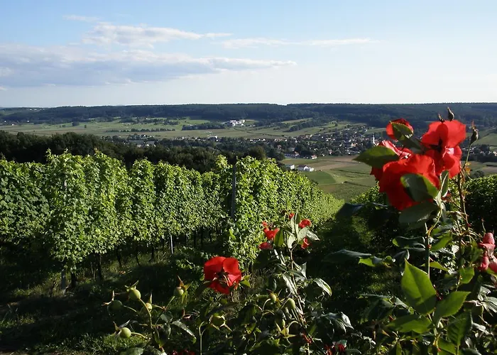 Golf & Wellness 34. *